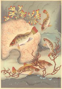 大野麥風｢大日本魚類画集　メバル｣