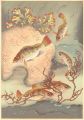 <strong>Ono Bakufu</strong><br>Fish of Japan / The Mebaru (Ro......