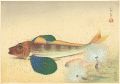 <strong>Ono Bakufu</strong><br>Fish of Japan / The Hobo (Gurn......