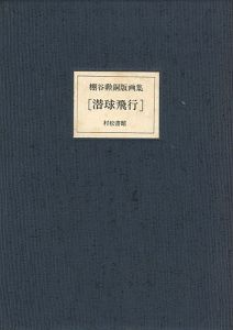 ｢棚谷勲 銅版画集 潜球飛行｣