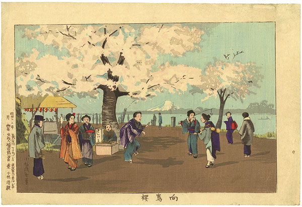 Kiyochika “Cherry Blossom at Mukojima”／