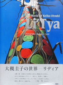 ｢大槻圭子の世界 リディア テキスタイル作品集｣