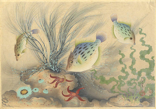 Ono Bakufu “Great Japanese Fish Picture Collection / The Kawahagi (Filefish) ”／