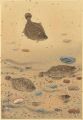 <strong>Ono Bakufu</strong><br>Great Japanese Fish Picture Co......