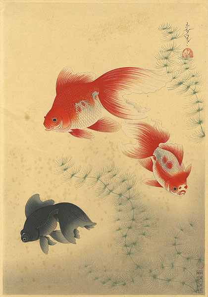 Ono Bakufu “Great Japanese Fish Picture Collection / The Kingyo (Goldfish) ”／
