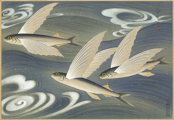 Ono Bakufu “Great Japanese Fish Picture Collection / The Tobiuo (Flying Fish) ”／