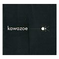 <strong>yasuhiro kawazoe</strong><br>