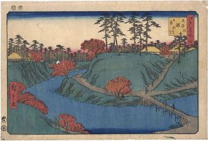Hiroshige/Famous Places in Edo / Waterfall River at Oji [江戸名所之内　王子瀧の川]