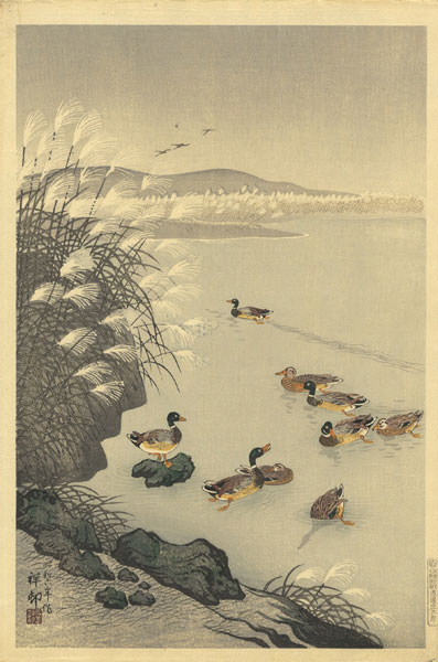 Ohara Koson(Shoson) “Late Autumn Pond”／