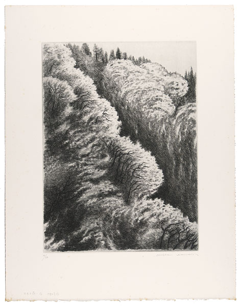 Kimura Shigeru “Waving Forest (G)”／