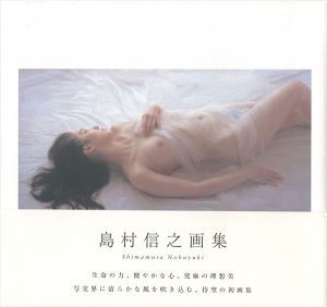 ｢島村信之画集｣