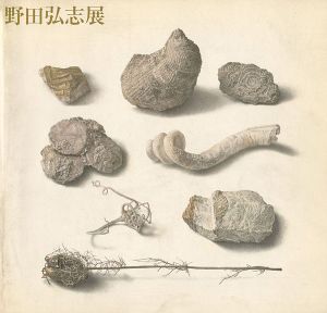 ｢明晰なる神秘 野田弘志展｣