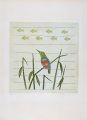 <strong>Minami Keiko</strong><br>Bird and Fish