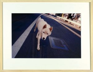 奈良美智｢写真 白い犬｣