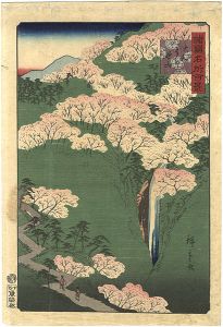 Hiroshige II/100 Famous Views in the Various Provinces / Mountains of Yoshino in Yamato Province[諸国名所百景　大和よし野山]