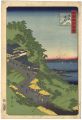 <strong>Hiroshige II</strong><br>100 Famous Views in the Variou......