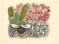 <strong>Kitagawa Tamiji</strong><br>Orchid