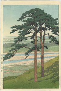 Kawase Hasui : Travelling poet