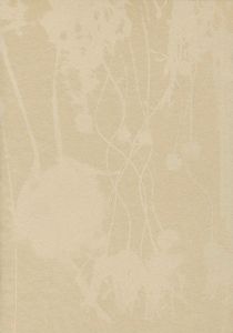 ｢大森澪銅版画集 ミィレフィオーリ／千々の花｣石川翠／言水ヘリオ編