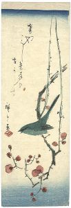 Hiroshige/Nightingale on Plum Branch[梅に鶯]