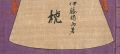 <strong>画集 枕</strong><br>伊藤晴雨