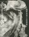 <strong>MICHIKO HOSHINO：Catalogue Rais......</strong><br>