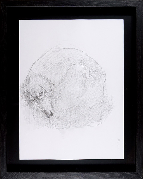 Matsui Fuyuko “Drawing : Dog”／