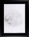 <strong>Matsui Fuyuko</strong><br>Drawing : Dog
