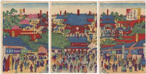 Kunitoshi/Famous Views of Edo / The Panorama View of Sensoji Temple[東京名所之内　浅草公園金龍山浅草寺]