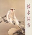 <strong>KANSETSU HASHIMOTO</strong><br>