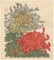 <strong>Munakata Makka</strong><br>Chrysanthemum
