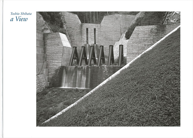 “Toshio Shibata：a View” ／