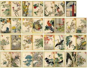Sugakudo/48 Birds Drawn from Life[生寫四十八鷹]