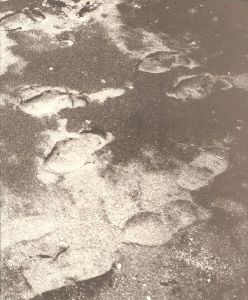 ｢A WALKING MAN-OKUBO  歩く人-大久保英治｣