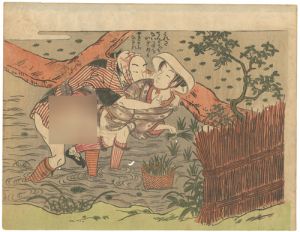 Harunobu/Shunga[春画]