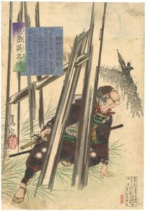 Shoso/Chronicle of the Heroes of Kagoshima / Kirino Shinsaku Toshiaki[鹿児島英名傳　桐野信作利秋]