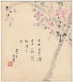 <strong>Kono Tsumei</strong><br>自筆色紙 桜（仮題）