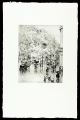 <strong>Frank M.Armington</strong><br>Paris