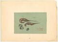 <strong>Matsuoka Isamu</strong><br>Greeting Cards