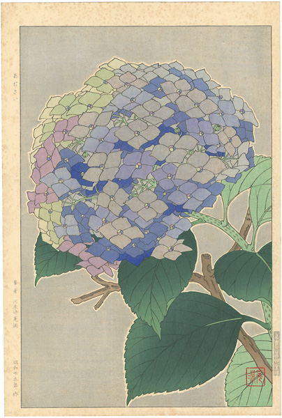 幕末屋 • 続花詩集 河原崎晃洞 (日本の絵本 ) • 希少な本と写真
