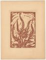 <strong>Otsuki Bunichi</strong><br>Digitalis purpurea