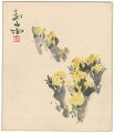 <strong>Shimomura Izan</strong><br>Adonis Plant (tentative title)