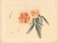 <strong>Ishizaki Koyo</strong><br>from New Flowers-and-birds dra......