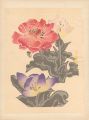 <strong>Kamei Tobei</strong><br>花（仮題）