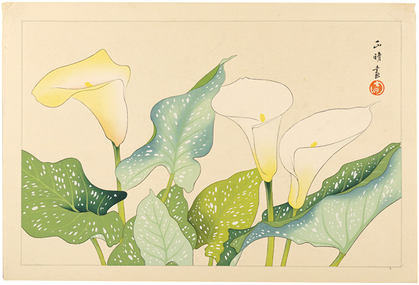 Inoue Masaharu “Calla （tentative title）”／