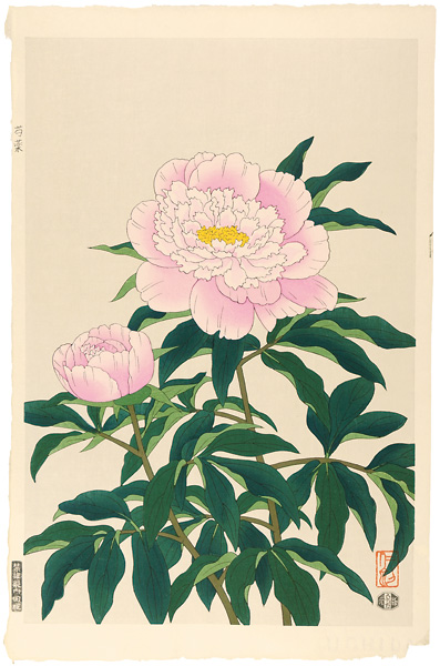 Ito Nisaburo “Peony,pink”／