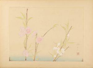 登内微笑｢新進花鳥画集より｣