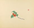 <strong>Tomimoto Kenkichi</strong><br>椿