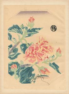 琴塚英一｢花（仮題）｣