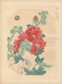 <strong>Kotozuka  Eiichi</strong><br>花（仮題）
